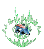 108278.gif